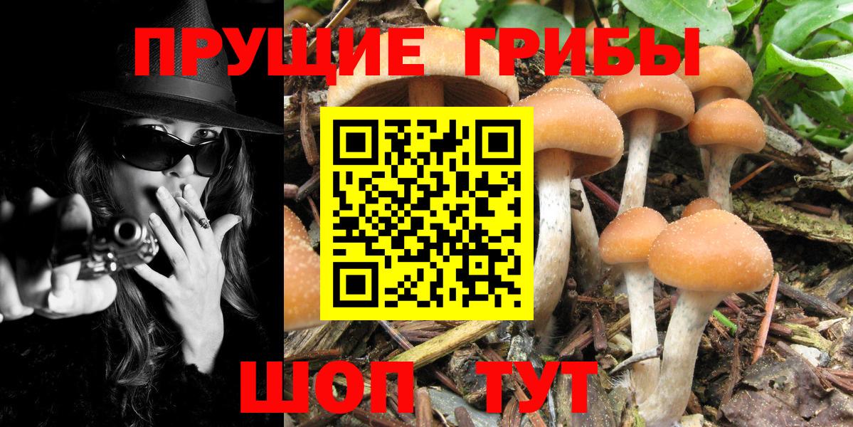 даркнет сайт  Псилоцибиновые грибы MAGIC MUSHROOMS  Вход с VPN  Верхняя Салда  Галлюциногенные грибы Psilocybine cubensis 